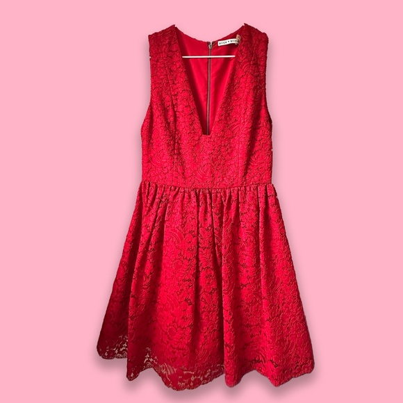 Alice + Olivia Kappa V-Neck Red Lace Party Dress - Picture 16 of 16